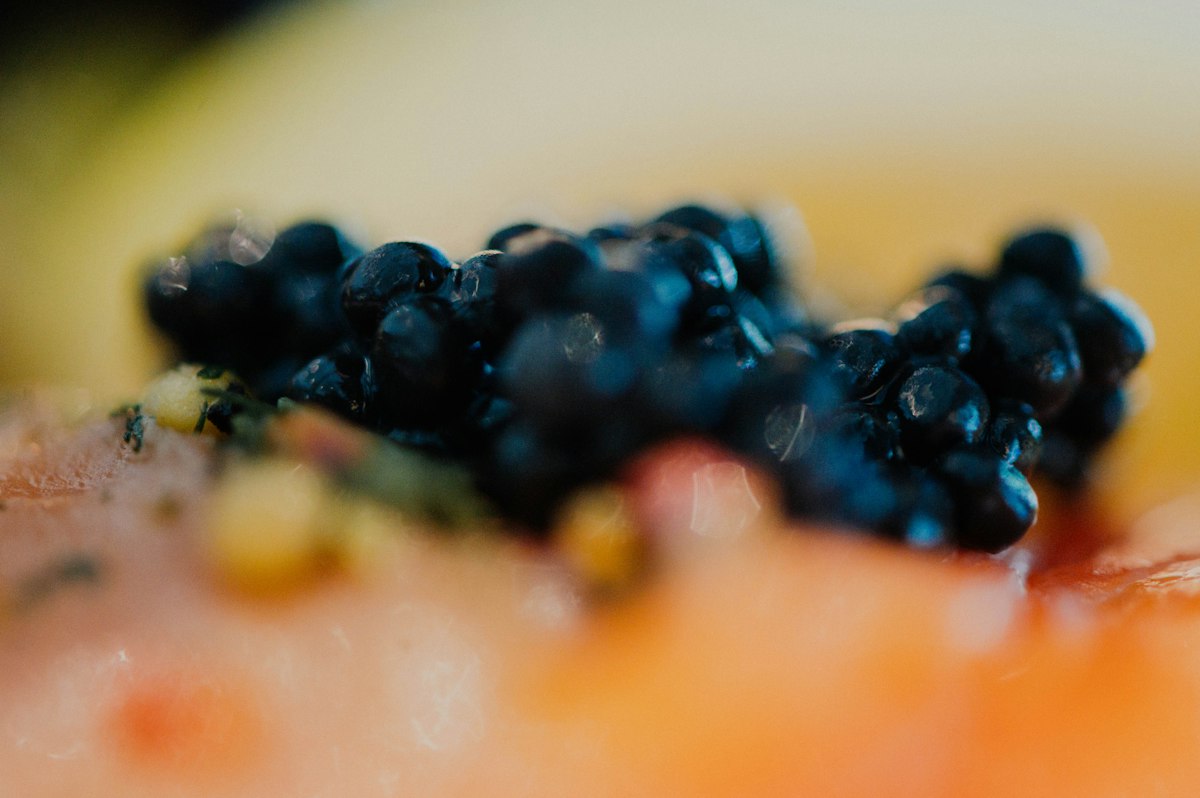 Fresh salmon rich in omega-3