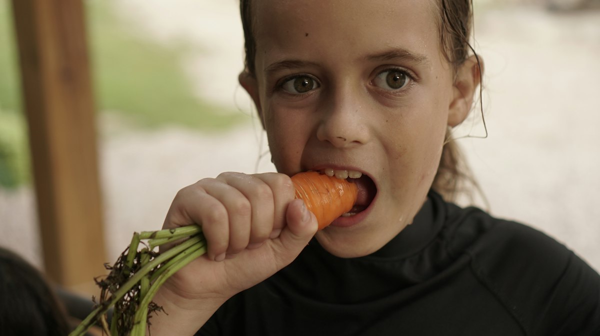 Orange carrots high in beta-carotene